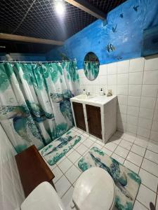 德雷克Pirate Drake Beach Camp & Tour company的一间带卫生间、水槽和镜子的浴室