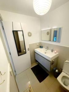 普纳奥亚E KOMO MAI的一间带水槽、镜子和卫生间的浴室