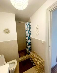 普纳奥亚E KOMO MAI的一间带卫生间和淋浴的小浴室