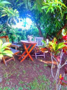 Calibishiecome and enjoy singing birds的花园里的野餐桌和两把椅子