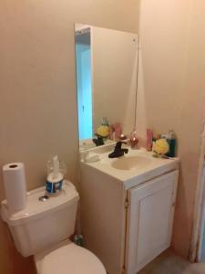 Spanish TownD'RESORT WAKE UP AND LIVE YAH的一间带卫生间、水槽和镜子的浴室