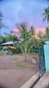 IbbagomuwaLotus cool hotel and restaurant的公园里的棕榈树,有门