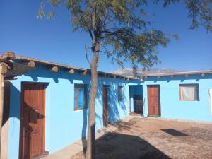卡奇Casa de familia的前面有一棵树的蓝色房子