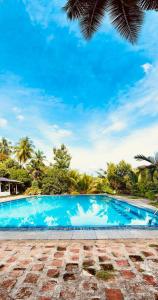 RambukkanaHimawwa Residency Pinnawala的一座种植了棕榈树的蓝色游泳池