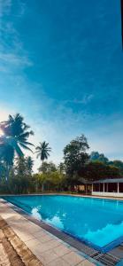 RambukkanaHimawwa Residency Pinnawala的一座种植了棕榈树的蓝色游泳池
