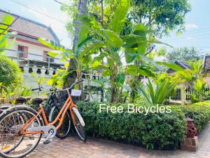 琅勃拉邦Luang Prabang Residence & Travel的停在一些植物旁边的橘子自行车