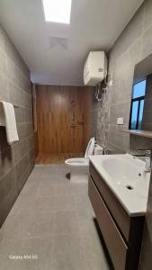达累斯萨拉姆PALM VILLAGE BUSINESS HOTEL APT的一间带水槽和卫生间的浴室