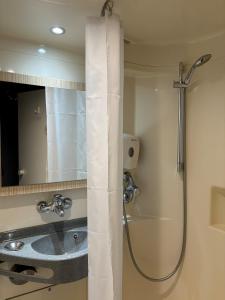 圣热尼普伊普瑞米尔杰内夫圣杰尼普利经典酒店的带淋浴和盥洗盆的浴室