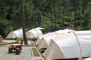 PalayanganSoraCai Riverside Campsite的一群在树丛中的帐篷