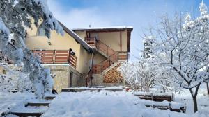 兹拉蒂博尔Zlatibor Apartmani DM Tornik的雪覆盖着楼梯和树木的房子