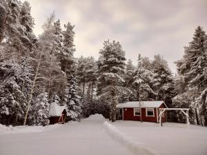 卡拉约基Punainen tupa的森林旁的雪地房子