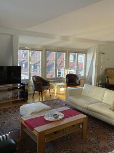 海德堡Best Location - Luxury Loft Riverview的带沙发和咖啡桌的客厅