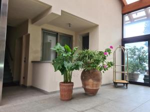 卡莱扎诺拉韦雷塔酒店的两个大花瓶,在门廊上植有植物