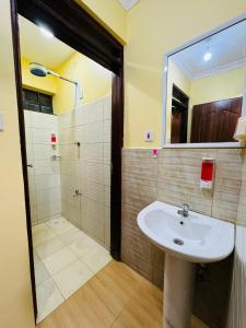Langata RongaiLovely 2 Bedroom Apartment in Ongata Rongai的一间带水槽和淋浴的浴室