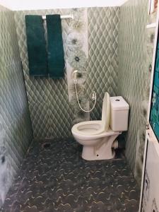 亭可马里Walkers hostel的一间带卫生间和绿色毛巾的浴室