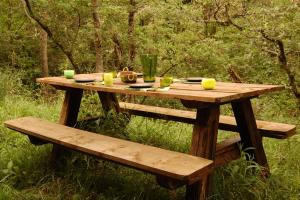 EnterriaApartamentos Rurales & Spa La Bárcena的木餐桌和草地上的长凳