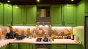 穆拉Marmaris Çamlı Mahallesinde Lüx Dizayn Edilmiş Luxury Villa的绿色厨房配有绿色橱柜和炉灶