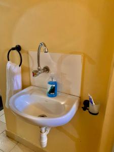内罗毕Comfort Studio的浴室内的盥洗盆,里面装有一瓶水