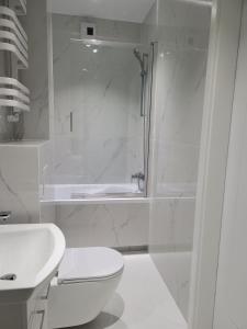 克拉科夫Apartament Mistral的带淋浴、卫生间和盥洗盆的浴室