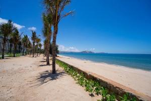 美奈Apec Mandala Cham Bay Mũi Né的沙滩上一排棕榈树