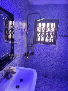 C-VISION GUESTHOUSE的蓝色的浴室设有水槽和淋浴