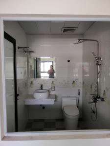 下龙湾VIET HOUSE HẠ LONG HOTEL的一间带水槽、卫生间和镜子的浴室