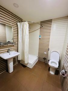 巴库Khegany Mall Hotel的浴室配有卫生间、盥洗盆和淋浴。