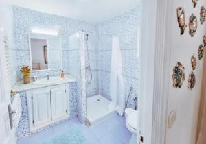 Dar Mimoun BeyLe Superbe - Sidi Bou Saïd的一间带水槽、淋浴和卫生间的浴室