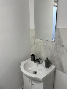 克卢日-纳波卡Vikings Grigo Apartaments的浴室设有白色水槽和镜子