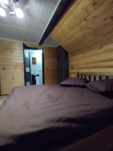 皮利佩齐Садиба у Пасічника的木墙客房内的一张大床