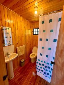 瓦尔迪维亚Cabañas Vista al Mar的木制浴室设有卫生间和水槽