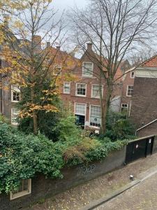 鹿特丹Galerie Petit Delfshaven的街道前有树木和灌木的建筑
