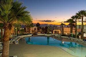 卡门港全景公寓酒店 - 仅限成人入住的度假村内带椅子和棕榈树的游泳池