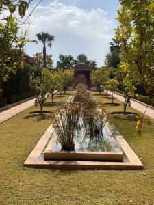 马拉喀什Villa Pauline with private pool & garden, hotel service and no insight.的草上种有植物的花园