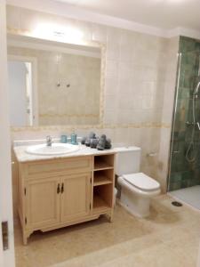 阿罗纳CASA PARAISO的一间带水槽、卫生间和镜子的浴室