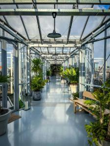 阿姆斯特丹Trendy 2 bedroom accommodation on perfect location的玻璃温室,里面装有盆栽植物