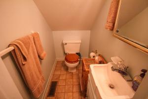 Piney CreekRiverside Escape的一间带卫生间和水槽的小浴室