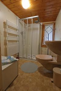 朗瑙Emmental Ferien的带淋浴、卫生间和盥洗盆的浴室