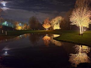 图尔奈Ferme Delgueule的树在池塘里反射