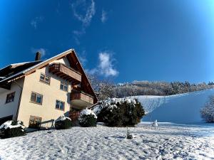 奥伯基希Ferienapartment Huber的一座在湖旁的地面上积雪的建筑