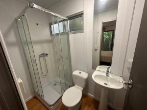埃斯特角城Posada Guasu的带淋浴、卫生间和盥洗盆的浴室