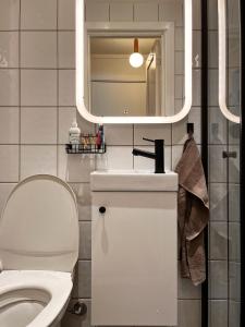利勒斯特罗姆Hygge houses I Studio apartment in Lillestrøm I Solo or Couple的一间带卫生间、水槽和镜子的浴室
