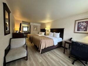 甘尼森Wingate by Wyndham Gunnison Near Western Colorado University的酒店客房带一张大床和一把椅子