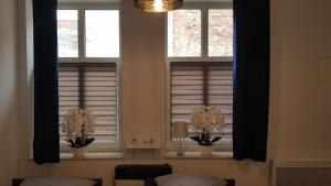 新松奇Komfortowy apartament w centrum Nowego Sącza的一间卧室设有2扇窗户,配有黑色窗帘和鲜花