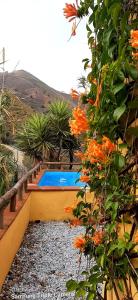 比纽埃拉Adobe Getaway with 'private plunge pool'的一座种植了橙花的灌木丛旁边的游泳池