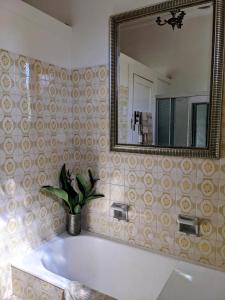 格里菲斯Paris's Place的一间带浴缸、镜子和植物的浴室