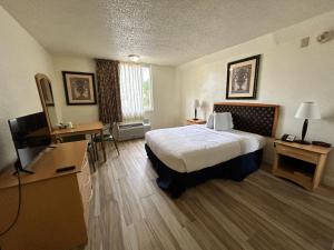 奥兰多电影世界酒店的酒店客房,配有床和电视