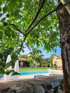 CaylusLe Mas de Laché的透过树上可欣赏到游泳池的景色