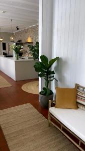 吉利勒杰Gilbjerg Strandhotel的带沙发和盆栽植物的客厅