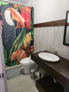 曼努埃尔安东尼奥Hotel Villa Prats的一间带卫生间和淋浴帘的浴室